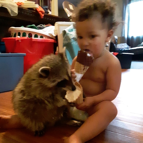 Meet your Posher, Domonique - Picture 1 of 1